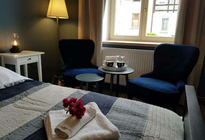 غرفة ديلوكس, Vila Janáčkova   1st Republic Villa