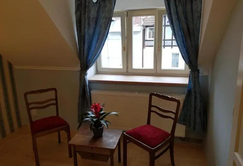 スタンダードルーム, Vila Janáčkova 1st Republic Villa