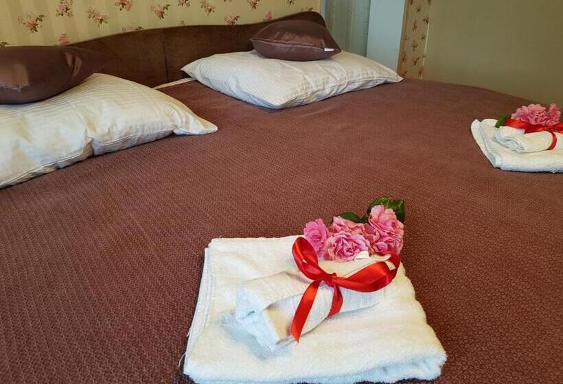 جناح مطلّ علي الحديقة, Vila Janáčkova   1st Republic Villa