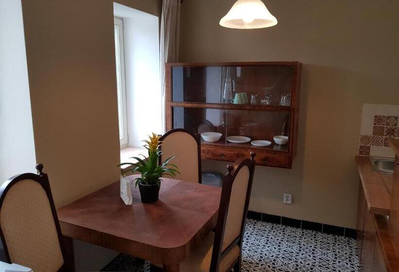 جناح مطلّ علي الحديقة, Vila Janáčkova   1st Republic Villa