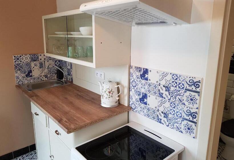 جناح, Vila Janáčkova   1st Republic Villa