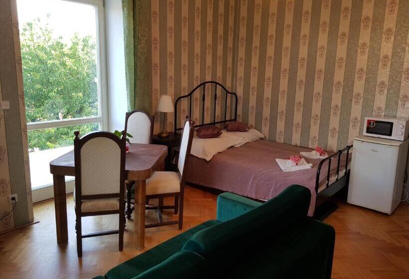 جناح مزود بتراس, Vila Janáčkova   1st Republic Villa