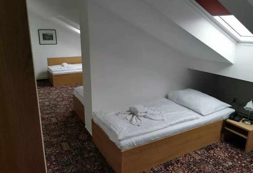 Standard Neljän Hengen Huone, Cityinn