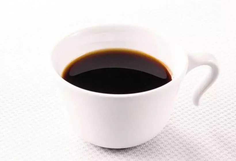 スタンダードルーム, Comfort Hotel Tendo