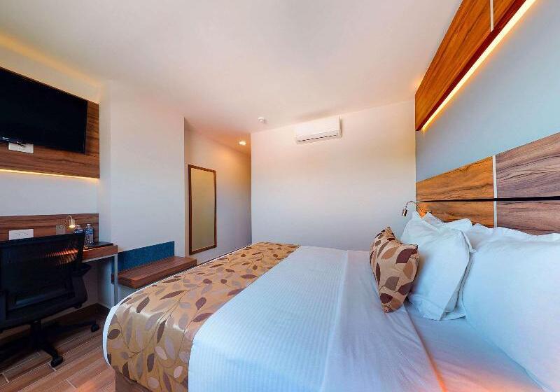 标准间, Distinction Palmerston North Hotel & Conference Centre