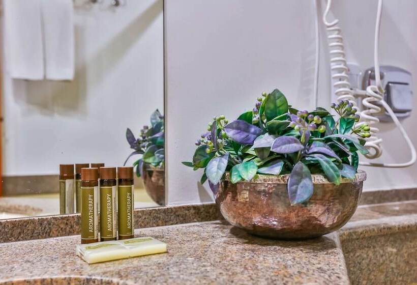 ダブルベッドスタンダードルーム, Golden Tulip Goiania Address