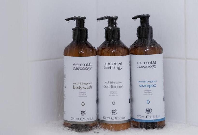 غرفة إقتصادية, Mercure Tokyo Ginza