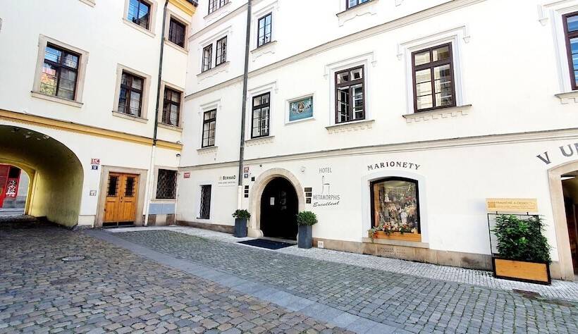 اتاق استاندارد یک نفره, Metamorphis