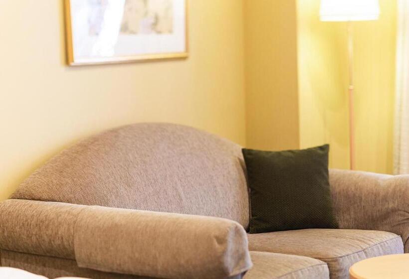 带露台的豪华间, Namba Oriental