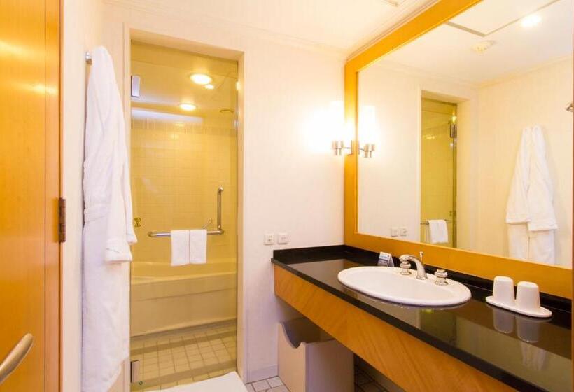 اتاق لوکس با تخت بزرگ, Nikko Kumamoto