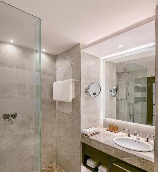 Номер бизнес-класса, Radisson Blu Mbd Hotel Noida
