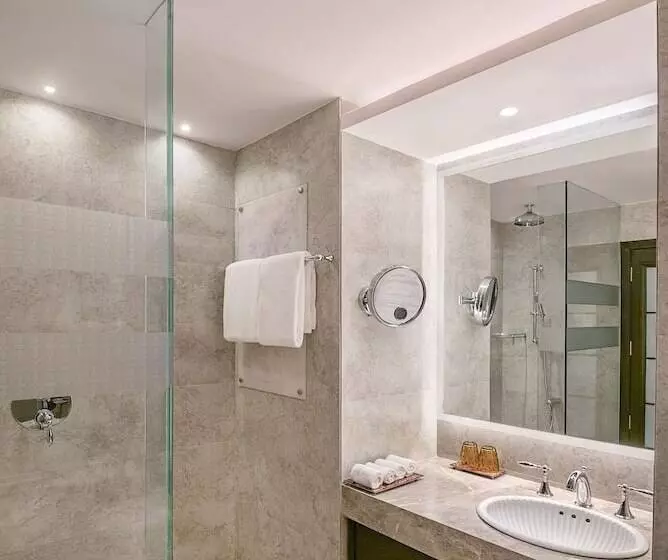 اتاق کلاس بیزنس, Radisson Blu Mbd Hotel Noida