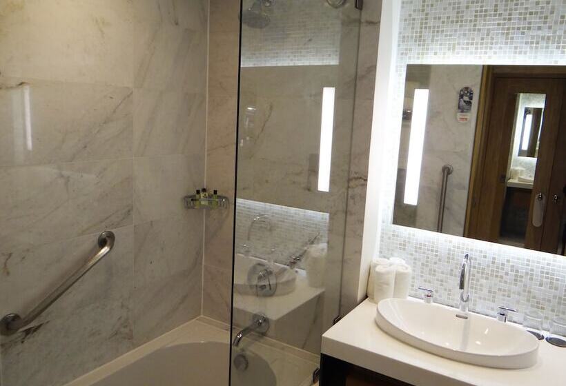 اتاق کلاسیک با تخت دوبل, Real Intercontinental Tegucigalpa, An Ihg