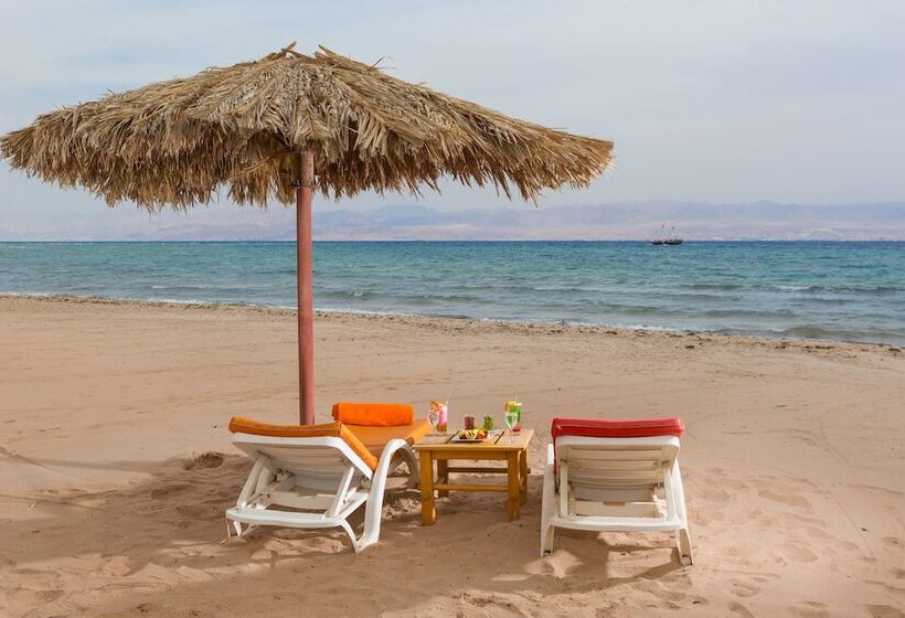 带海景的标准房, Strand Beach Resort