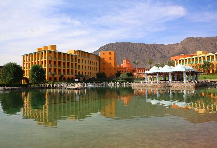 اتاق استاندارد با تخت بزرگ, Strand Beach Resort