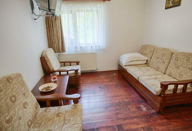 １ベッドルームアパートメント, Vila Ursul