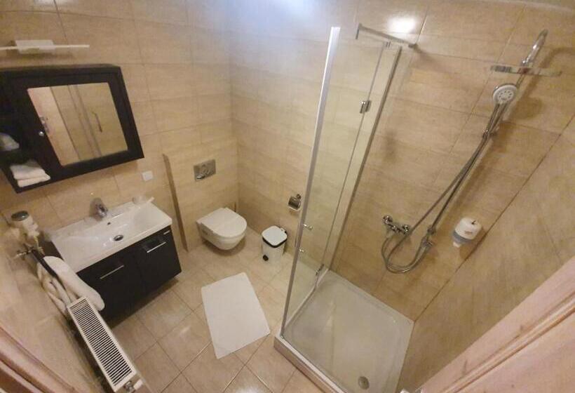 스탠다드 룸, Păstrăvăria Alex