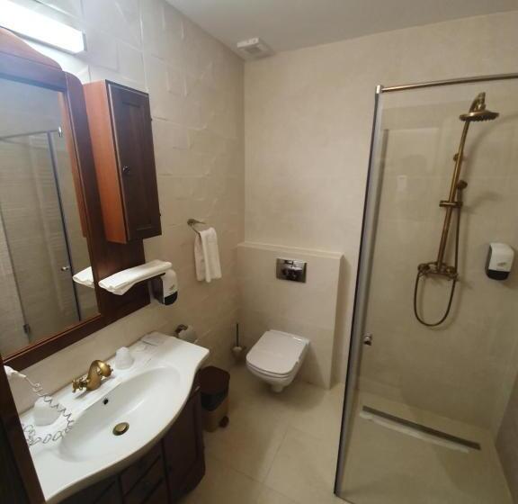 발코니 디럭스 룸, Păstrăvăria Alex