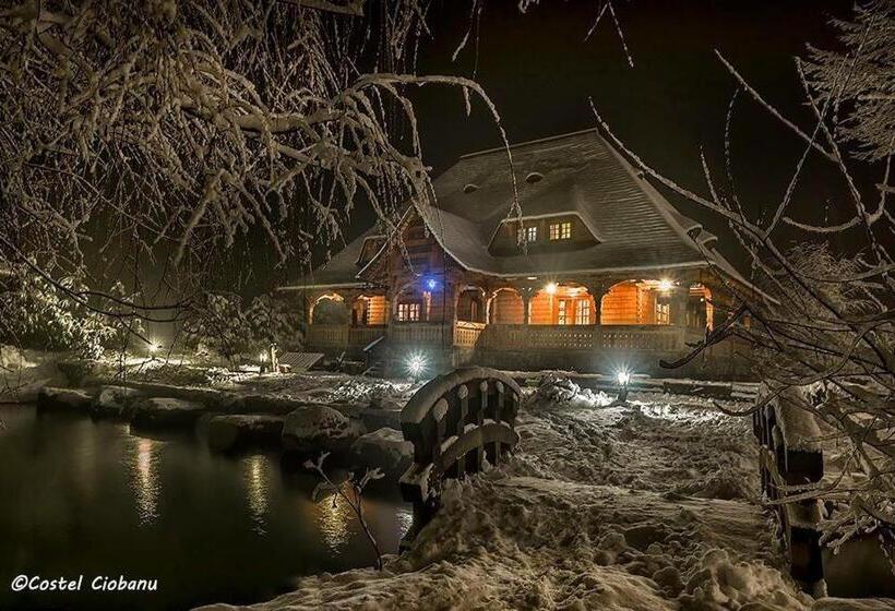 침실 4개 주택, Păstrăvăria Alex