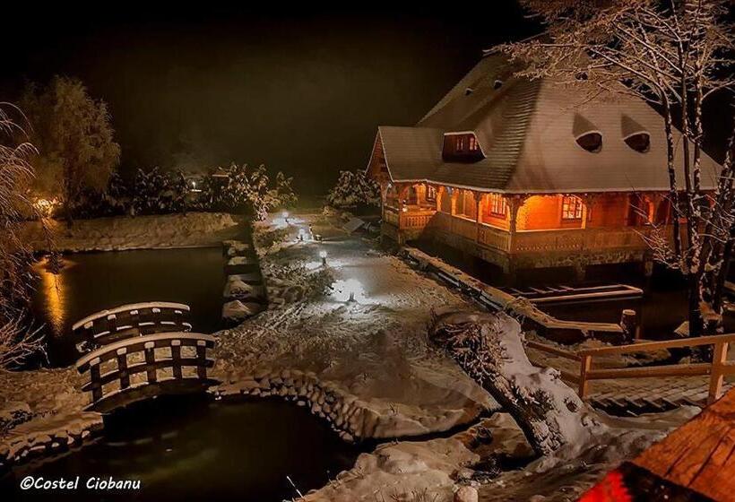 침실 4개 주택, Păstrăvăria Alex