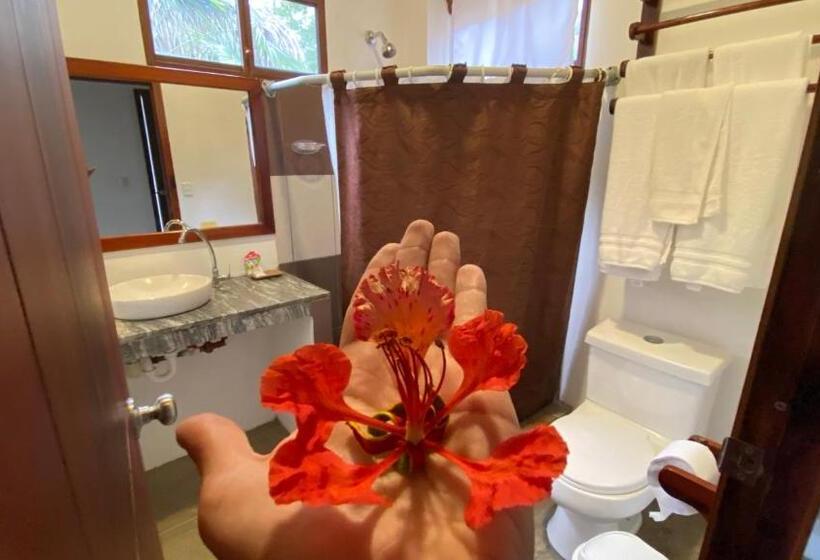 スーペリアファミリールーム, Hosteria Guachapeli