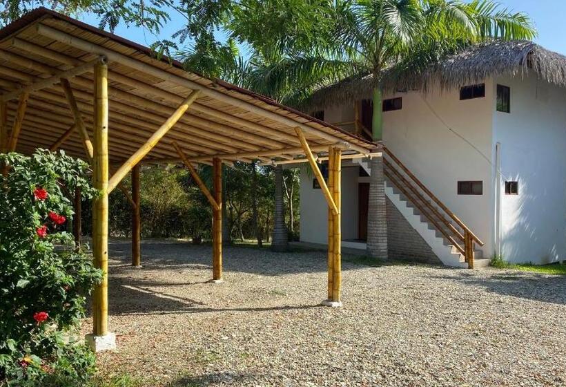 エコノミールーム, Hosteria Guachapeli