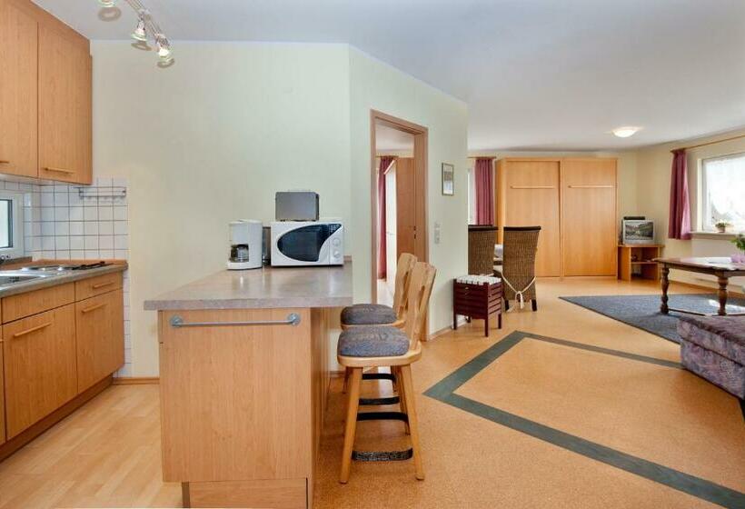 带1个卧室的带阳台的公寓, Stadler Hof