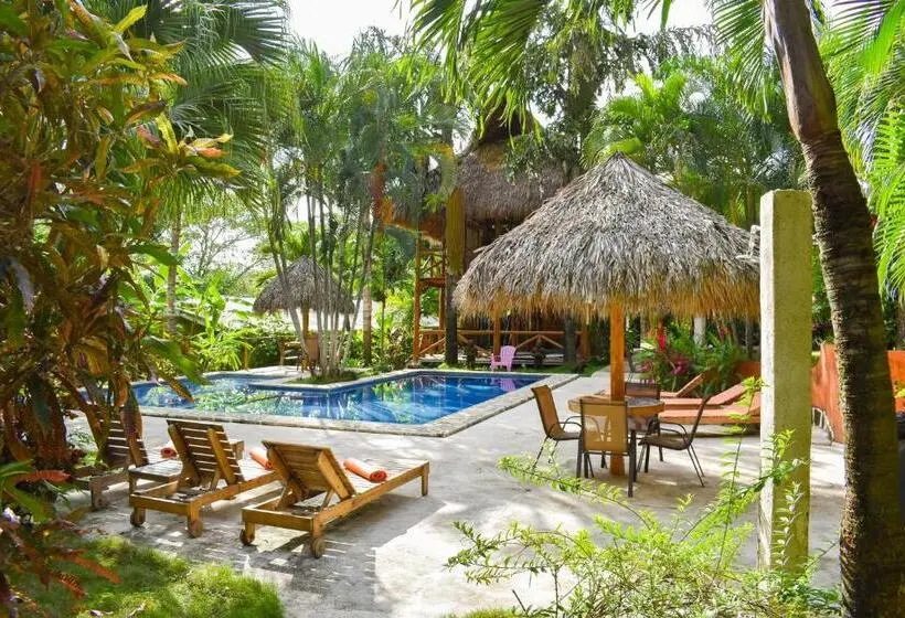 استودیو استاندارد با تراس, Fuego Lodge