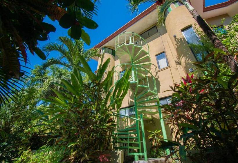 스탠다드 스튜디오 (테라스구비), Fuego Lodge