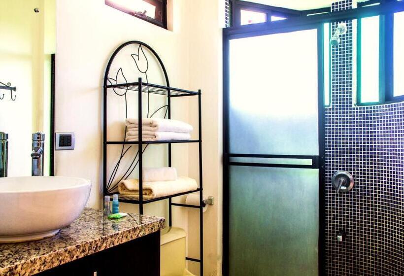 스탠다드 스튜디오 (테라스구비), Fuego Lodge