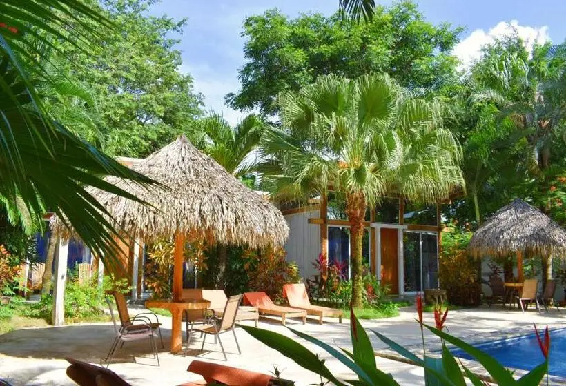 سوییت با چشم‌انداز استخر, Fuego Lodge