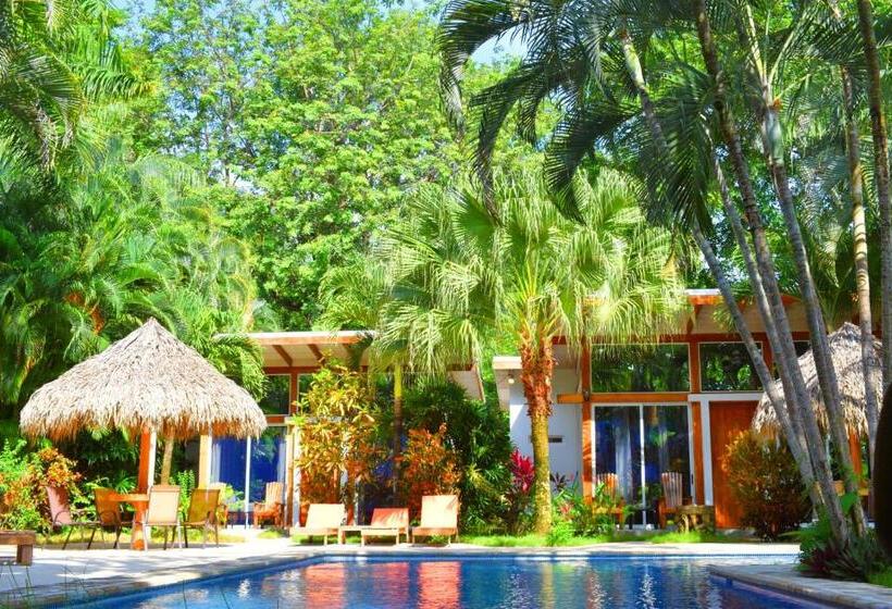 Люкс Вид на Бассейн, Fuego Lodge