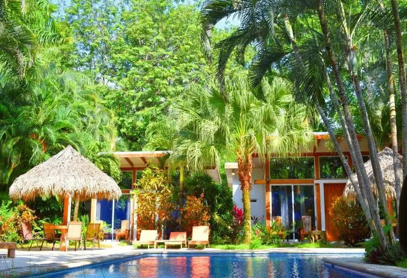 سوییت با چشم‌انداز استخر, Fuego Lodge