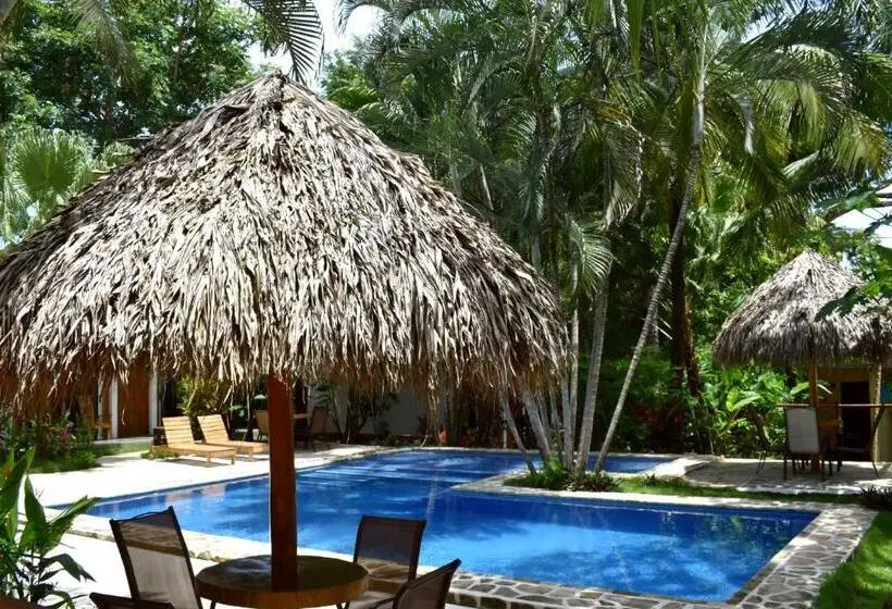 اتاق استاندارد با تخت بزرگ, Fuego Lodge