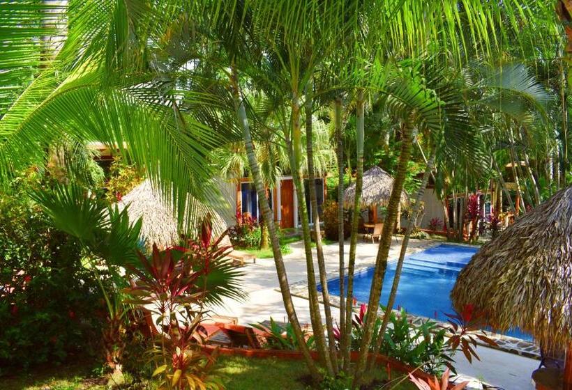 스탠다드 룸 킹사이즈 침대, Fuego Lodge