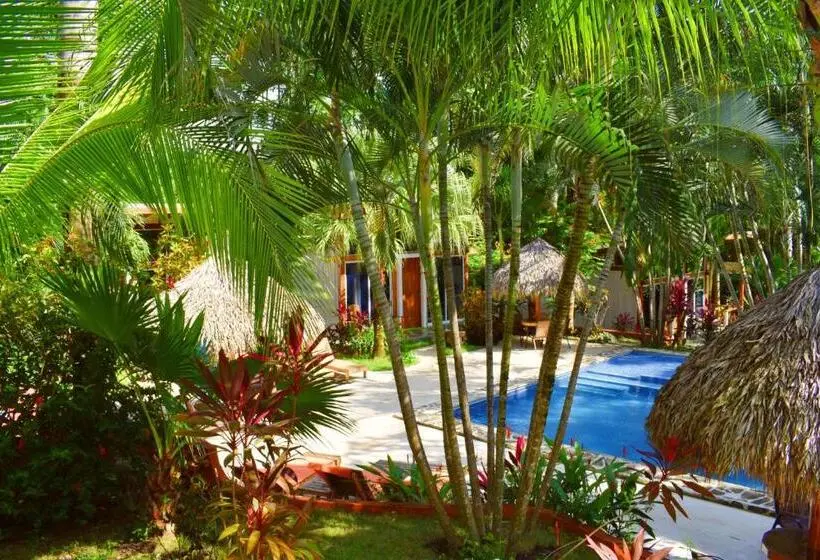 اتاق استاندارد با تخت بزرگ, Fuego Lodge