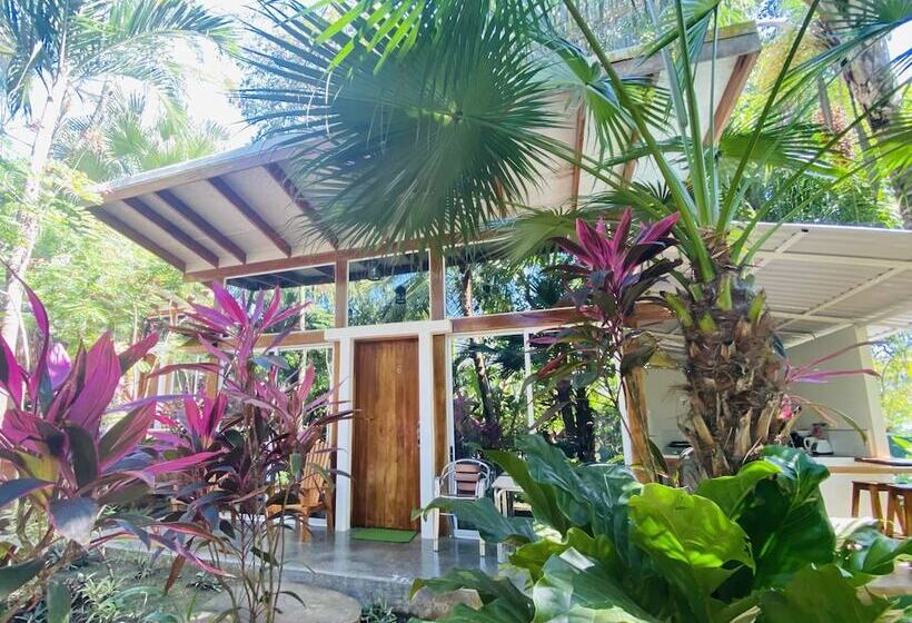 가든 전망 스위트, Fuego Lodge