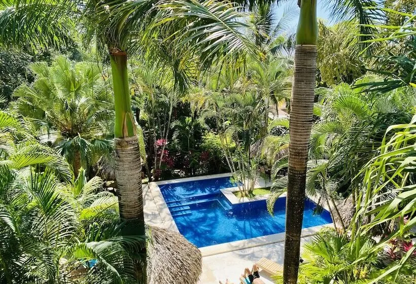استودیو استاندارد با تراس, Fuego Lodge