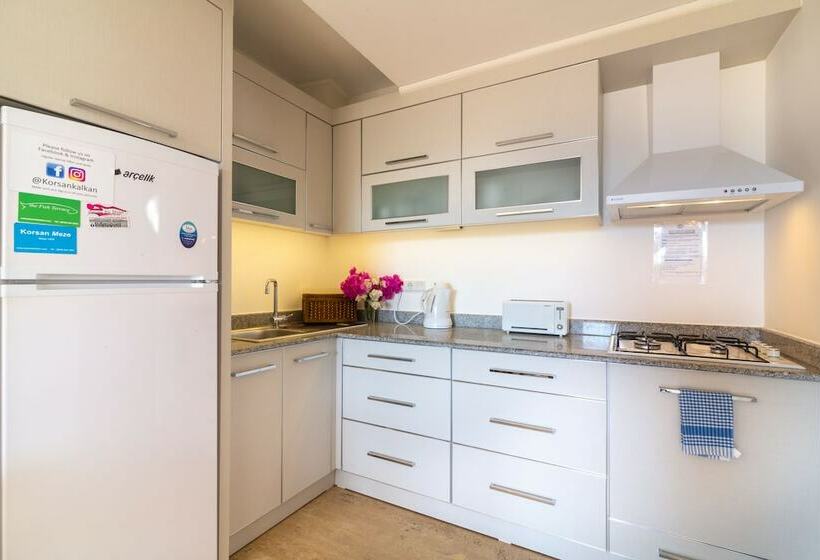 آپارتمان 1 خوابه با چشم‌انداز باغ, Korsan Apartments