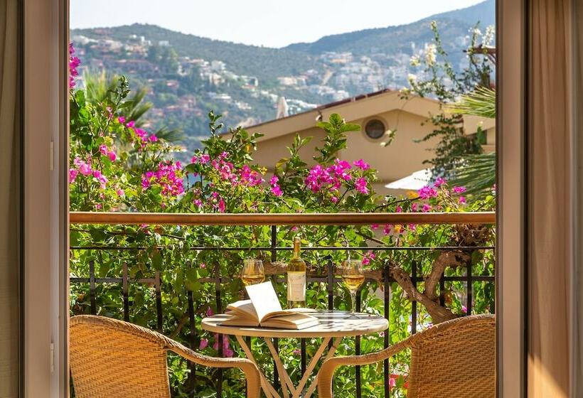 آپارتمان 1 خوابه با چشمانداز باغ, Korsan Apartments