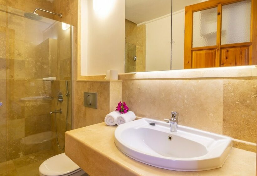 آپارتمان 1 خوابه با چشمانداز باغ, Korsan Apartments