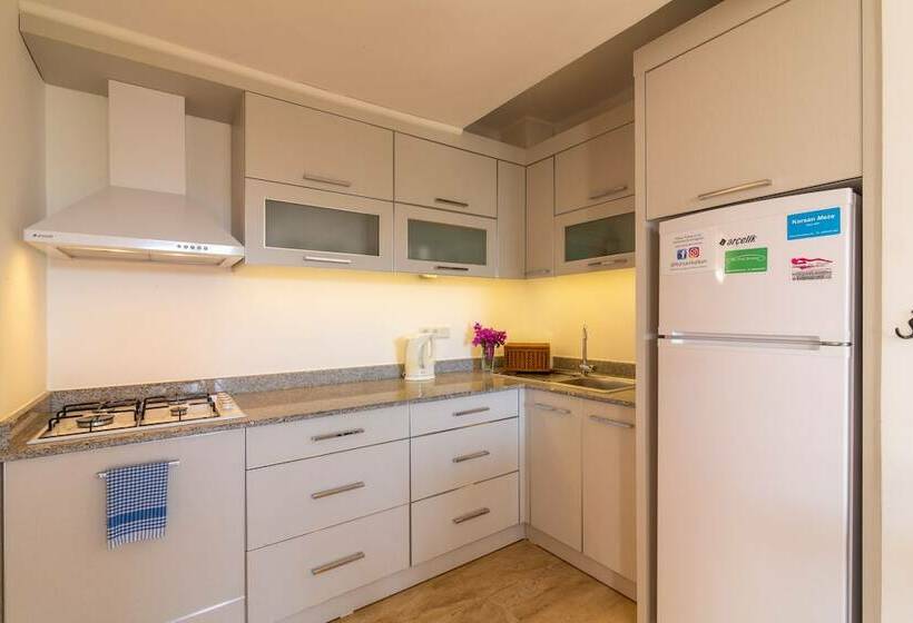 آپارتمان 1 خوابه با چشمانداز باغ, Korsan Apartments