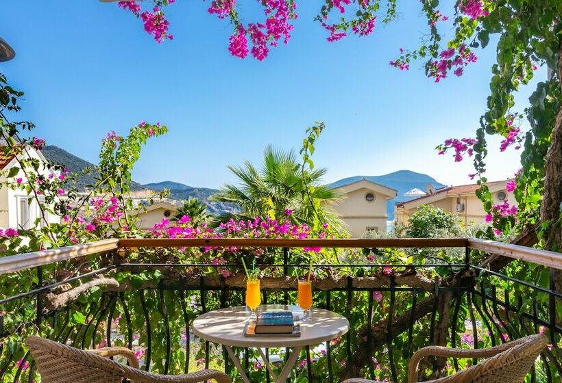 آپارتمان 1 خوابه با چشمانداز باغ, Korsan Apartments