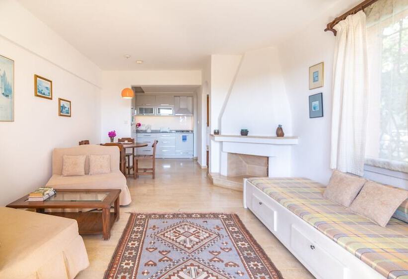آپارتمان 1 خوابه با چشم‌انداز باغ, Korsan Apartments