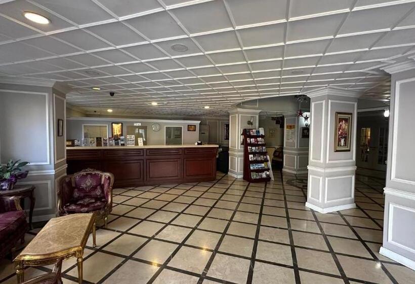 Standart Oda, Albatros Premier Hotel   Special Class