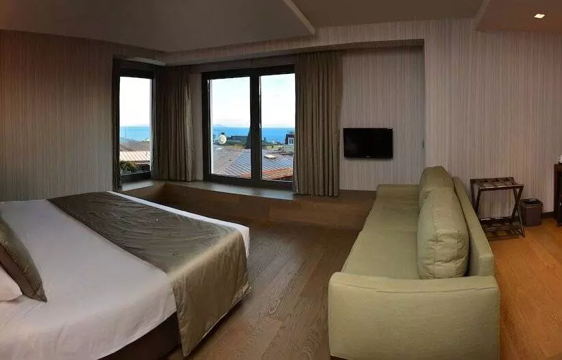 اتاق لوکس با چشم‌انداز دریا, Arcadia Blue Istanbul