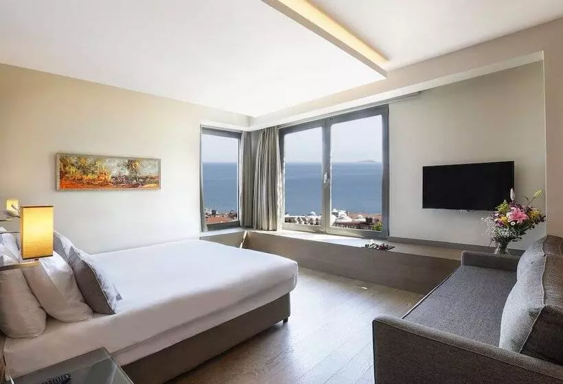 اتاق لوکس با چشم‌انداز دریا, Arcadia Blue Istanbul