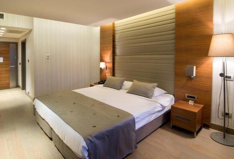 スタンダードルーム, Arcadia Blue Istanbul