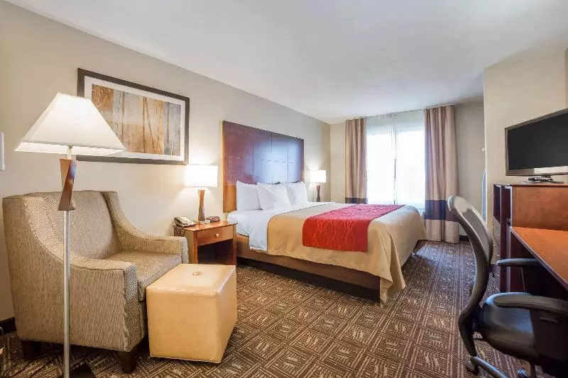 اتاق لوکس با تخت بزرگ, Courtyard By Marriott Warsaw Airport