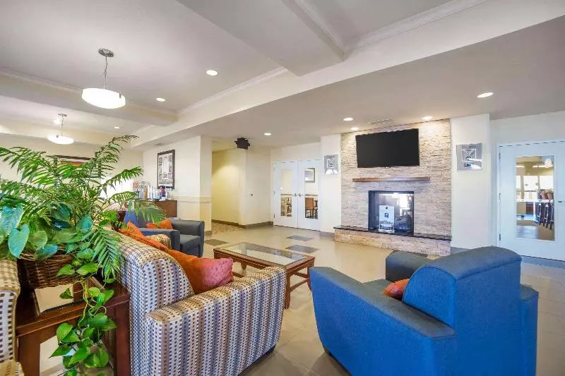 اتاق لوکس با تخت بزرگ, Courtyard By Marriott Warsaw Airport